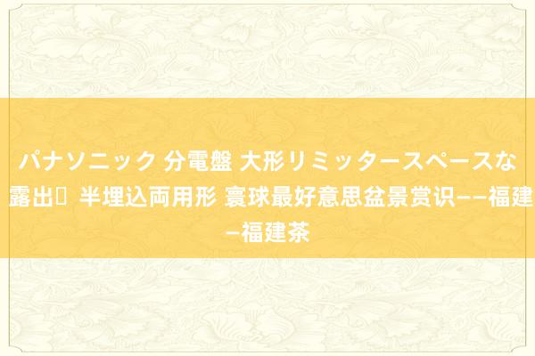 パナソニック 分電盤 大形リミッタースペースなし 露出・半埋込両用形 寰球最好意思盆景赏识——福建茶