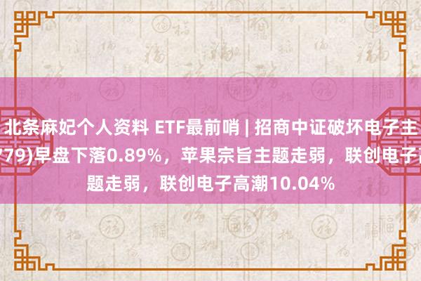 北条麻妃个人资料 ETF最前哨 | 招商中证破坏电子主题ETF(159779)早盘下落0.89%，苹果宗旨主题走弱，联创电子高潮10.04%