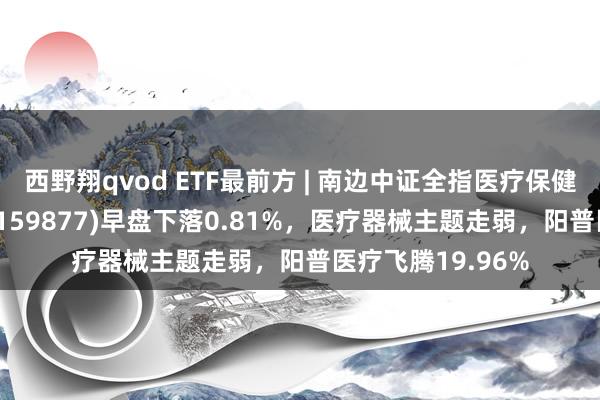 西野翔qvod ETF最前方 | 南边中证全指医疗保健斥地与劳动ETF(159877)早盘下落0.81%，医疗器械主题走弱，阳普医疗飞腾19.96%