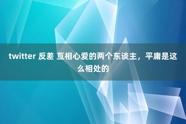 twitter 反差 互相心爱的两个东谈主，平庸是这么相处的