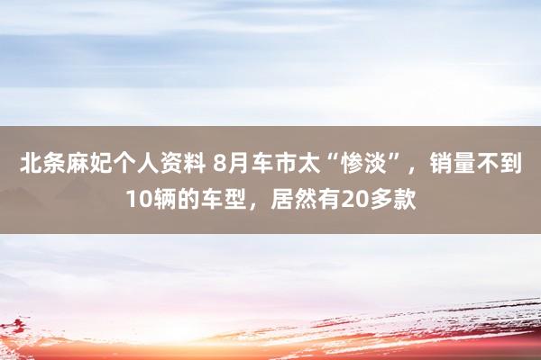 北条麻妃个人资料 8月车市太“惨淡”，销量不到10辆的车型，居然有20多款