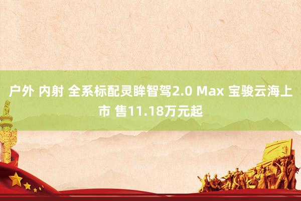 户外 内射 全系标配灵眸智驾2.0 Max 宝骏云海上市 售11.18万元起