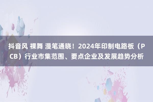 抖音风 裸舞 漫笔通晓！2024年印制电路板（PCB）行业市集范围、要点企业及发展趋势分析