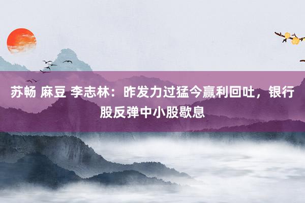 苏畅 麻豆 李志林：昨发力过猛今赢利回吐，银行股反弹中小股歇息