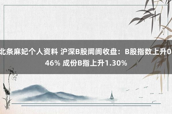 北条麻妃个人资料 沪深B股阛阓收盘：B股指数上升0.46% 成份B指上升1.30%