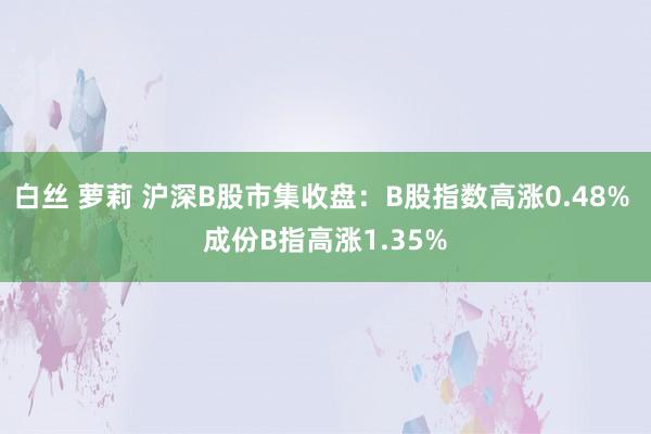 白丝 萝莉 沪深B股市集收盘：B股指数高涨0.48% 成份B指高涨1.35%