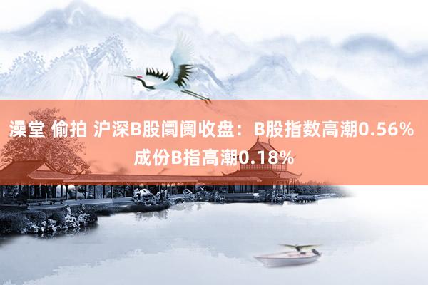 澡堂 偷拍 沪深B股阛阓收盘：B股指数高潮0.56% 成份B指高潮0.18%