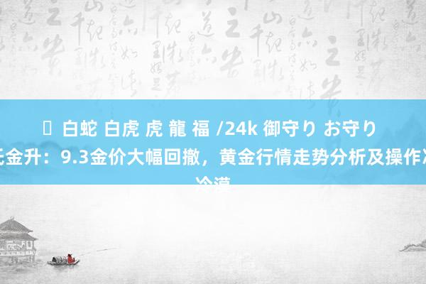 ✨白蛇 白虎 虎 龍 福 /24k 御守り お守り 秦氏金升：9.3金价大幅回撤，黄金行情走势分析及操作冷漠