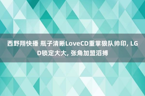 西野翔快播 瓶子清晰LoveCD重掌狼队帅印， LGD锁定大大， 张角加盟滔搏