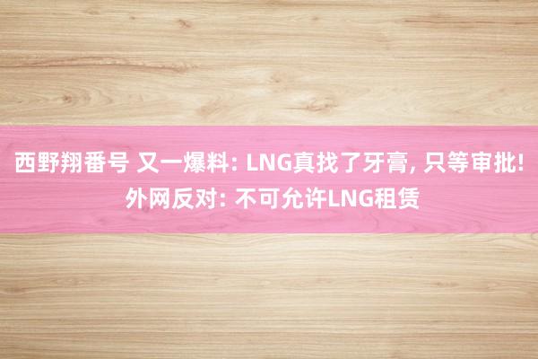 西野翔番号 又一爆料: LNG真找了牙膏， 只等审批! 外网反对: 不可允许LNG租赁