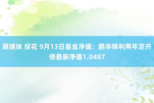 眼镜妹 探花 9月13日基金净值：鹏华锦利两年定开债最新净值1.0487