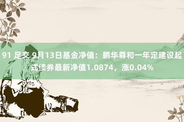 91 足交 9月13日基金净值：鹏华尊和一年定建设起式债券最新净值1.0874，涨0.04%