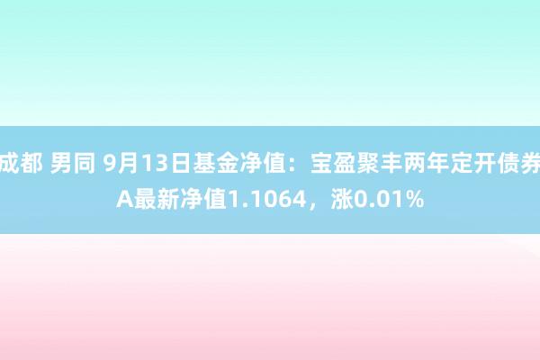 成都 男同 9月13日基金净值：宝盈聚丰两年定开债券A最新净值1.1064，涨0.01%