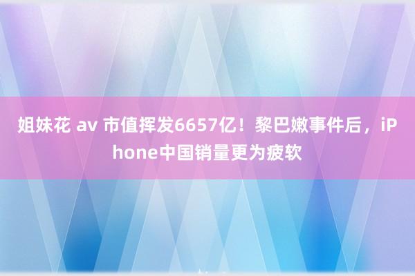 姐妹花 av 市值挥发6657亿！黎巴嫩事件后，iPhone中国销量更为疲软