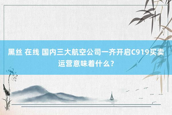 黑丝 在线 国内三大航空公司一齐开启C919买卖运营意味着什么？