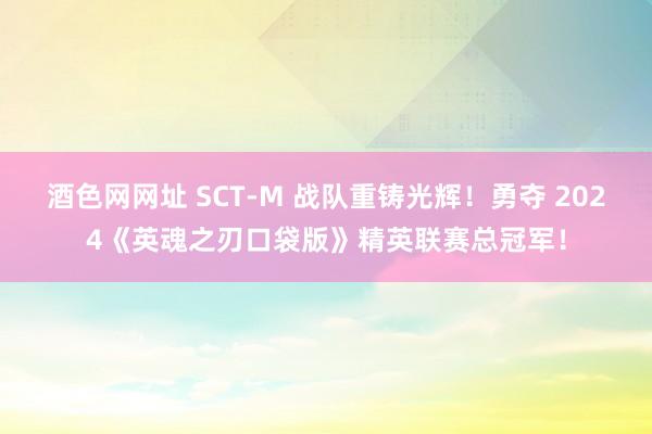 酒色网网址 SCT-M 战队重铸光辉！勇夺 2024《英魂之刃口袋版》精英联赛总冠军！