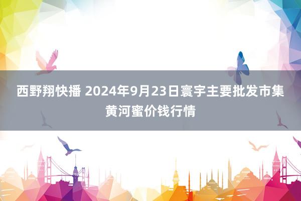 西野翔快播 2024年9月23日寰宇主要批发市集黄河蜜价钱行情