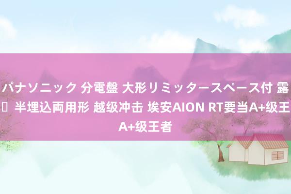 パナソニック 分電盤 大形リミッタースペース付 露出・半埋込両用形 越级冲击 埃安AION RT要当A+级王者