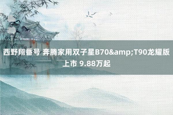 西野翔番号 奔腾家用双子星B70&T90龙耀版上市 9.88万起