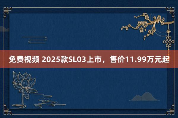 免费视频 2025款SL03上市，售价11.99万元起