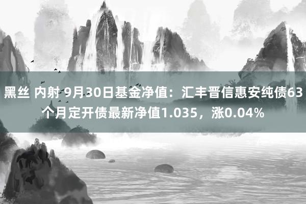 黑丝 内射 9月30日基金净值：汇丰晋信惠安纯债63个月定开债最新净值1.035，涨0.04%