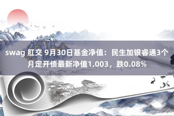 swag 肛交 9月30日基金净值：民生加银睿通3个月定开债最新净值1.003，跌0.08%