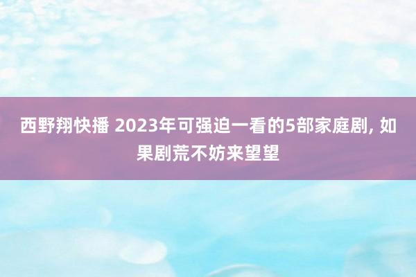 西野翔快播 2023年可强迫一看的5部家庭剧， 如果剧荒不妨来望望