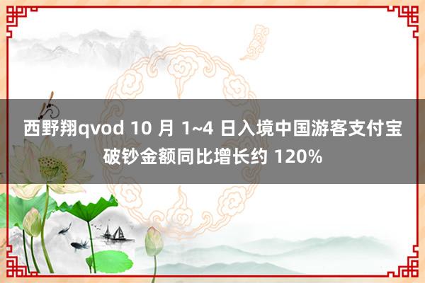 西野翔qvod 10 月 1~4 日入境中国游客支付宝破钞金额同比增长约 120%