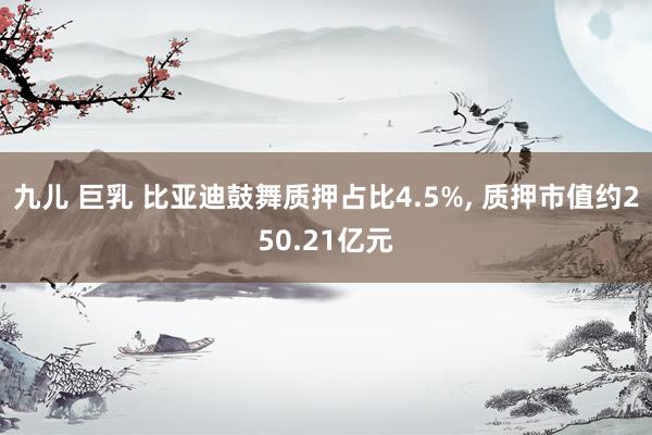 九儿 巨乳 比亚迪鼓舞质押占比4.5%， 质押市值约250.21亿元