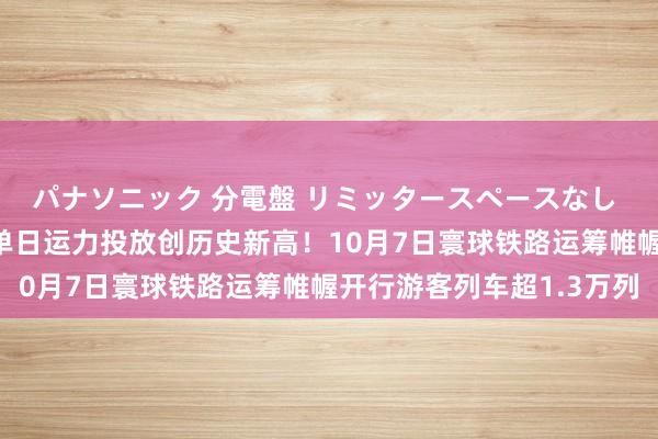 パナソニック 分電盤 リミッタースペースなし 露出・半埋込両用形 单日运力投放创历史新高！10月7日寰球铁路运筹帷幄开行游客列车超1.3万列