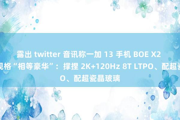 露出 twitter 音讯称一加 13 手机 BOE X2 东方屏规格“相等豪华”：撑捏 2K+120Hz 8T LTPO、配超瓷晶玻璃