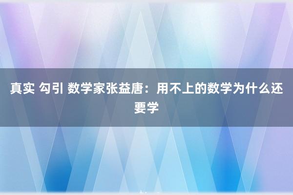 真实 勾引 数学家张益唐：用不上的数学为什么还要学