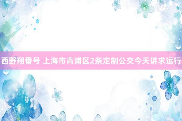 西野翔番号 上海市青浦区2条定制公交今天讲求运行