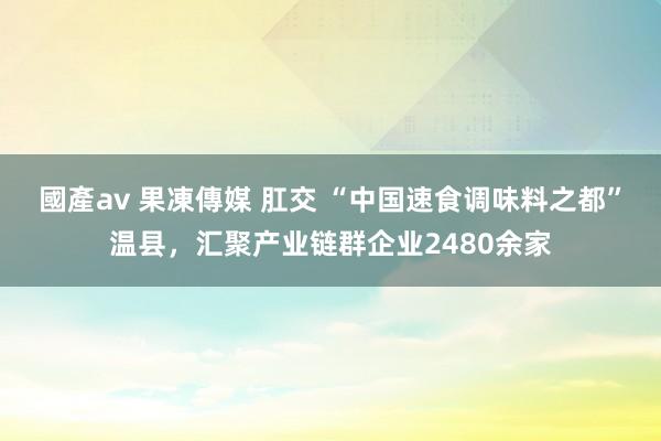 國產av 果凍傳媒 肛交 “中国速食调味料之都”温县，汇聚产业链群企业2480余家