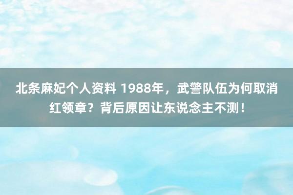 北条麻妃个人资料 1988年，武警队伍为何取消红领章？背后原因让东说念主不测！