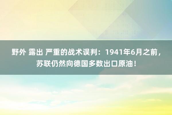 野外 露出 严重的战术误判：1941年6月之前，苏联仍然向德国多数出口原油！