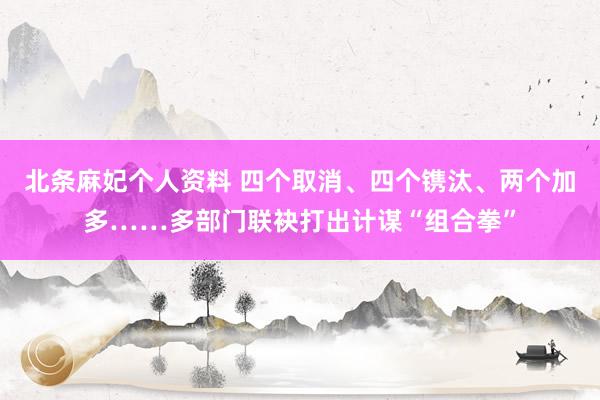 北条麻妃个人资料 四个取消、四个镌汰、两个加多……多部门联袂打出计谋“组合拳”