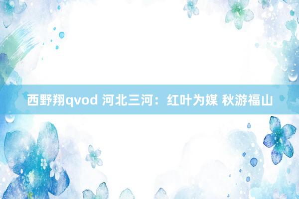 西野翔qvod 河北三河：红叶为媒 秋游福山