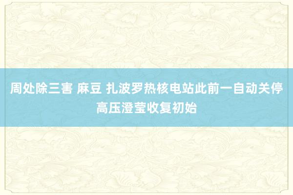 周处除三害 麻豆 扎波罗热核电站此前一自动关停高压澄莹收复初始