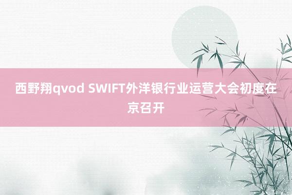 西野翔qvod SWIFT外洋银行业运营大会初度在京召开