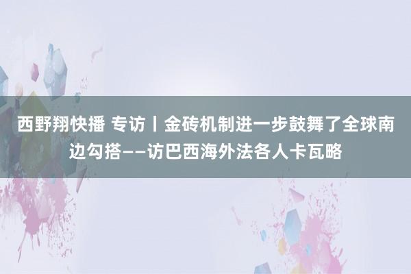 西野翔快播 专访丨金砖机制进一步鼓舞了全球南边勾搭——访巴西海外法各人卡瓦略