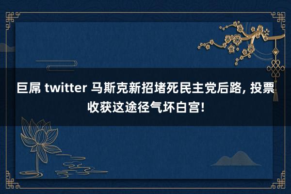 巨屌 twitter 马斯克新招堵死民主党后路， 投票收获这途径气坏白宫!