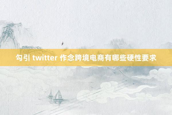 勾引 twitter 作念跨境电商有哪些硬性要求