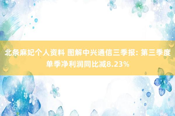 北条麻妃个人资料 图解中兴通信三季报: 第三季度单季净利润同比减8.23%