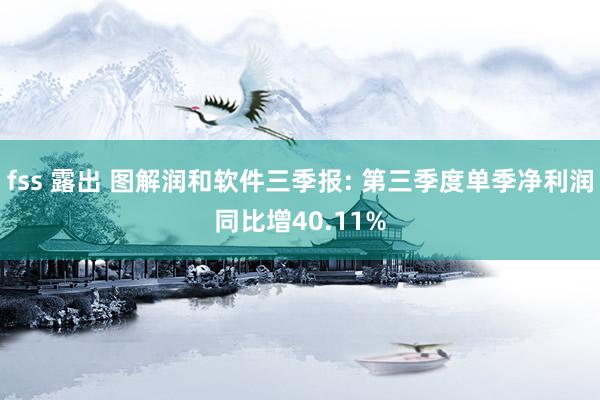 fss 露出 图解润和软件三季报: 第三季度单季净利润同比增40.11%