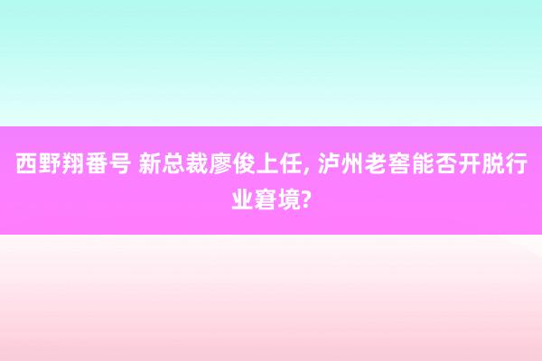 西野翔番号 新总裁廖俊上任， 泸州老窖能否开脱行业窘境?