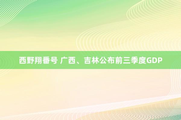 西野翔番号 广西、吉林公布前三季度GDP