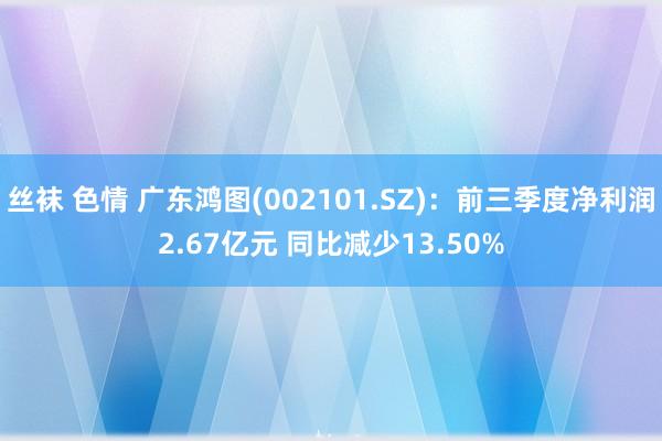 丝袜 色情 广东鸿图(002101.SZ)：前三季度净利润2.67亿元 同比减少13.50%