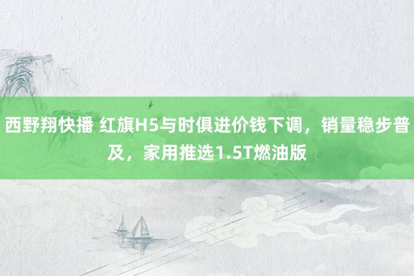 西野翔快播 红旗H5与时俱进价钱下调，销量稳步普及，家用推选1.5T燃油版