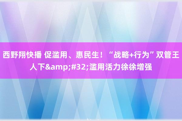 西野翔快播 促滥用、惠民生！“战略+行为”双管王人下&#32;滥用活力徐徐增强